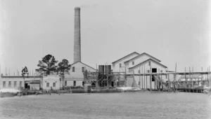 redirx Belhavens History